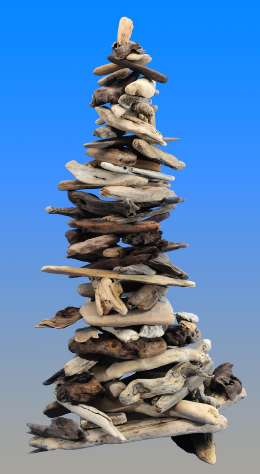 Alices drift wood