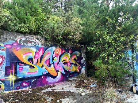 SKIES 1