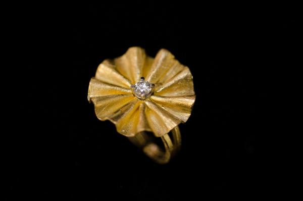 fan ring