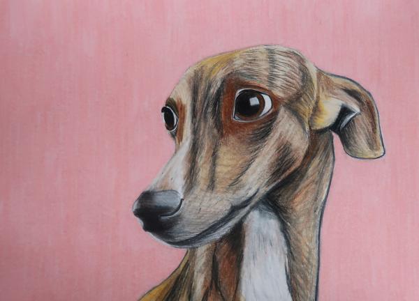 Whippet it Good