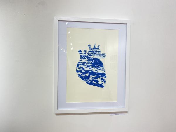 IMG 7872