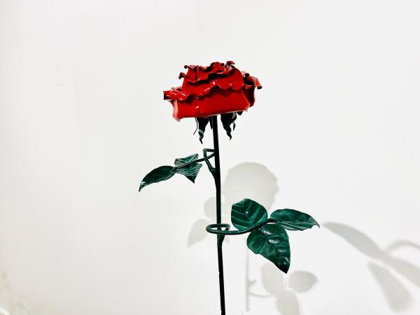 IMG 9281