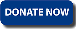donate button EXTRASMALL