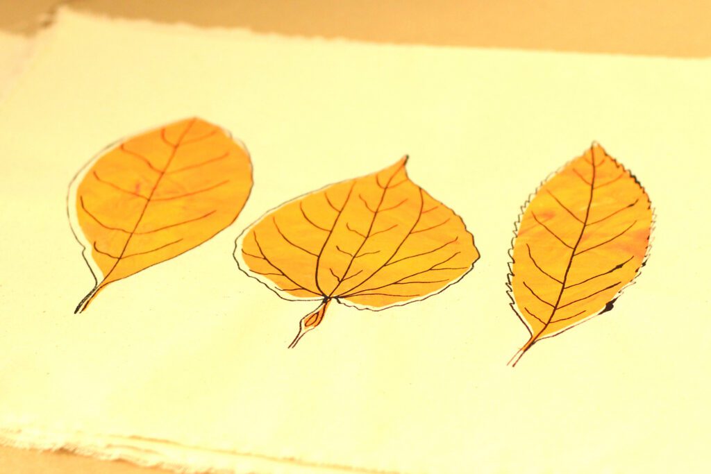 The Learning Connexion Art Programme Creative Art School Printmaking Classes 2