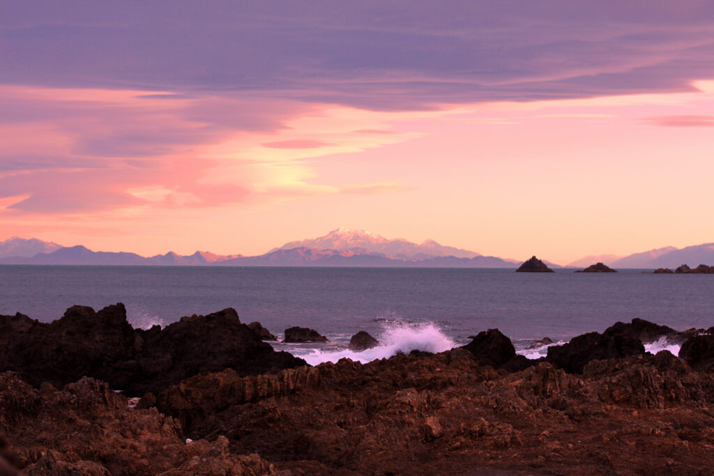 The Learning Connexion Art School Creative Arts Photography Course student Jasmine Robins 3