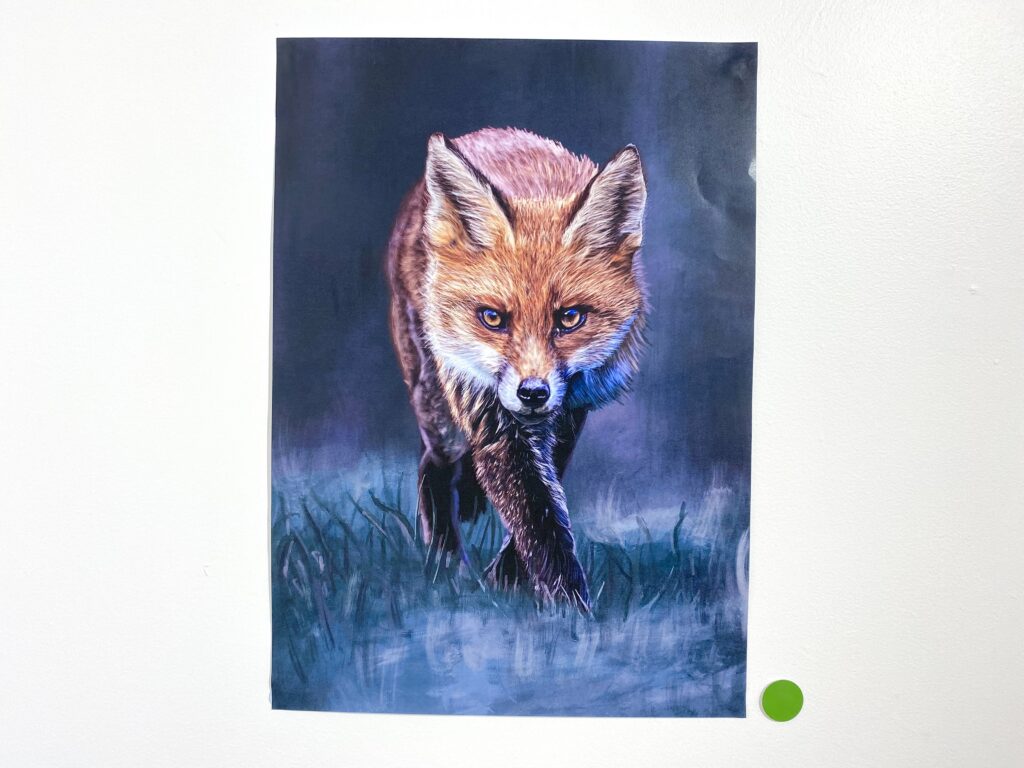 The Learning Connexion Art School Digital Art Courses fox digital drawing